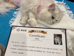 -美迦爱-牙专科·兔科·骨科诊疗中心(北苑店)