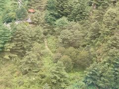 -苍山感通索道