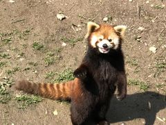 -上海野生动物园