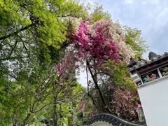 -深圳国际园林花卉博览园