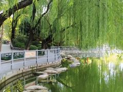 -莲湖公园