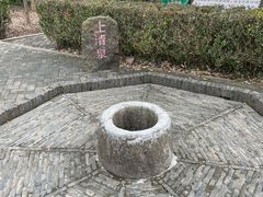 -上海佘山国家森林公园天马山园