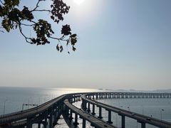 -星海湾跨海大桥