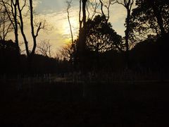 -南汇新城城市公园