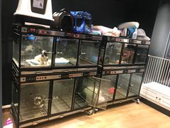 -喜狗宠物生活馆(岳州路店)