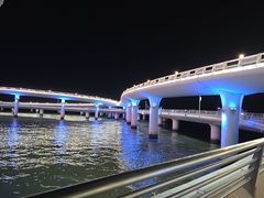 -演武大桥观景平台