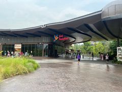 -新加坡飞禽公园