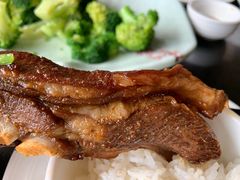 -OLD TREE老树咖啡·西餐厅(台山人工湖店)