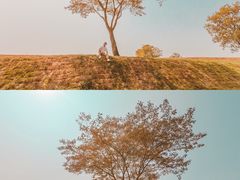 -盘龙城国家考古遗址公园