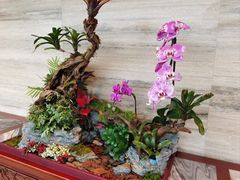 -白天鹅宾馆-玉堂春暖餐厅