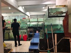 -联邦酒楼