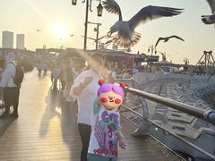 -东港音乐喷泉广场