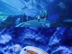 -成都浩海立方海洋公园