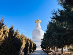 -凉州白塔寺景区