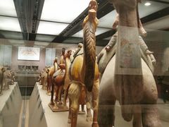 -西安大唐西市博物馆