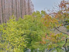 -东坡赤壁风景名胜区