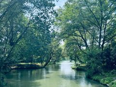 -西溪国家湿地公园