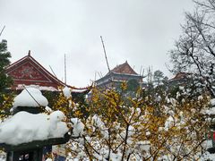 -开福禅寺