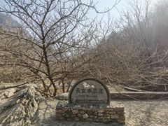-大连天门山国家森林公园