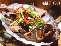 葱油石斑鱼-老房子·1881海鲜餐厅