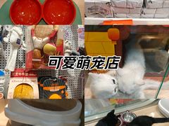 -BABIT巴比特宠物(MOMOPARK店)