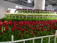 -万达广场(盐城盐都店)