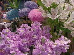 -谷莠子花艺·气球派对·绿植造景·花艺沙龙(金光华广场店)