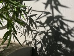 -五道营胡同