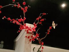 -春天来了(印象新天地店)