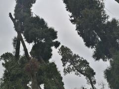 -金堂县云顶石城风景区