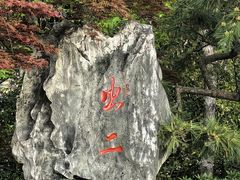 -西湖游船