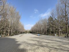 -玲珑塔公园