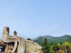 -青岛森林野生动物世界