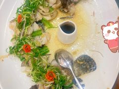 清蒸花班鱼-香港富临皇宫(五月花商业广场店)
