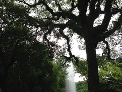 -九龙公园