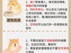 -FAELING PETS美天灵宠物(合生汇店)