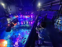 -沈阳海洋探索中心