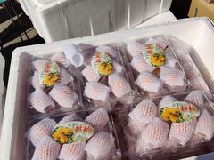 -东方鼎信农副产品交易中心