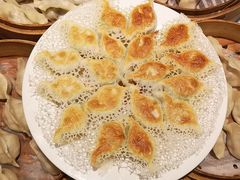 煸馅饺子-老边饺子馆(中街店)
