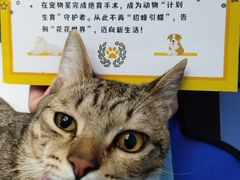 -宠物星动物医院·眼科·异宠·猫科(江南大道总院)