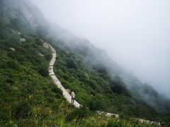 -白草畔自然风景区