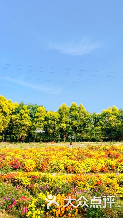 广东花都香草世界旅游度假区景点图片 第34张