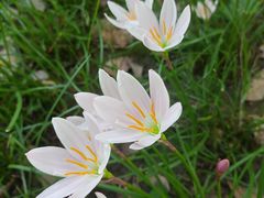 -眉山湿地公园(东坡区)