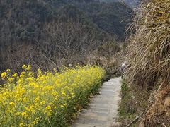 -石潭村