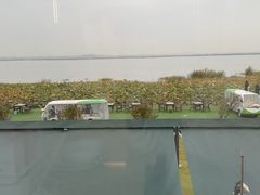 -七的湖·晚芳亭·阳澄湖农家菜·大闸蟹(莲花岛店)