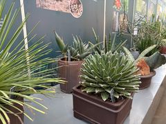 -国家植物园南园