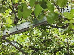 -伊隆斋(什刹海店)