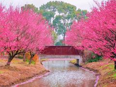 -花开海上生态园