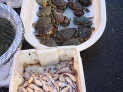 -芦潮港集贸市场