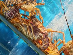 -海味当家·蒸锅海鲜(星海公园店)